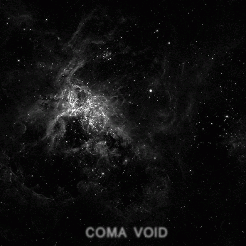 Coma Void (USA-2) : Coma Void